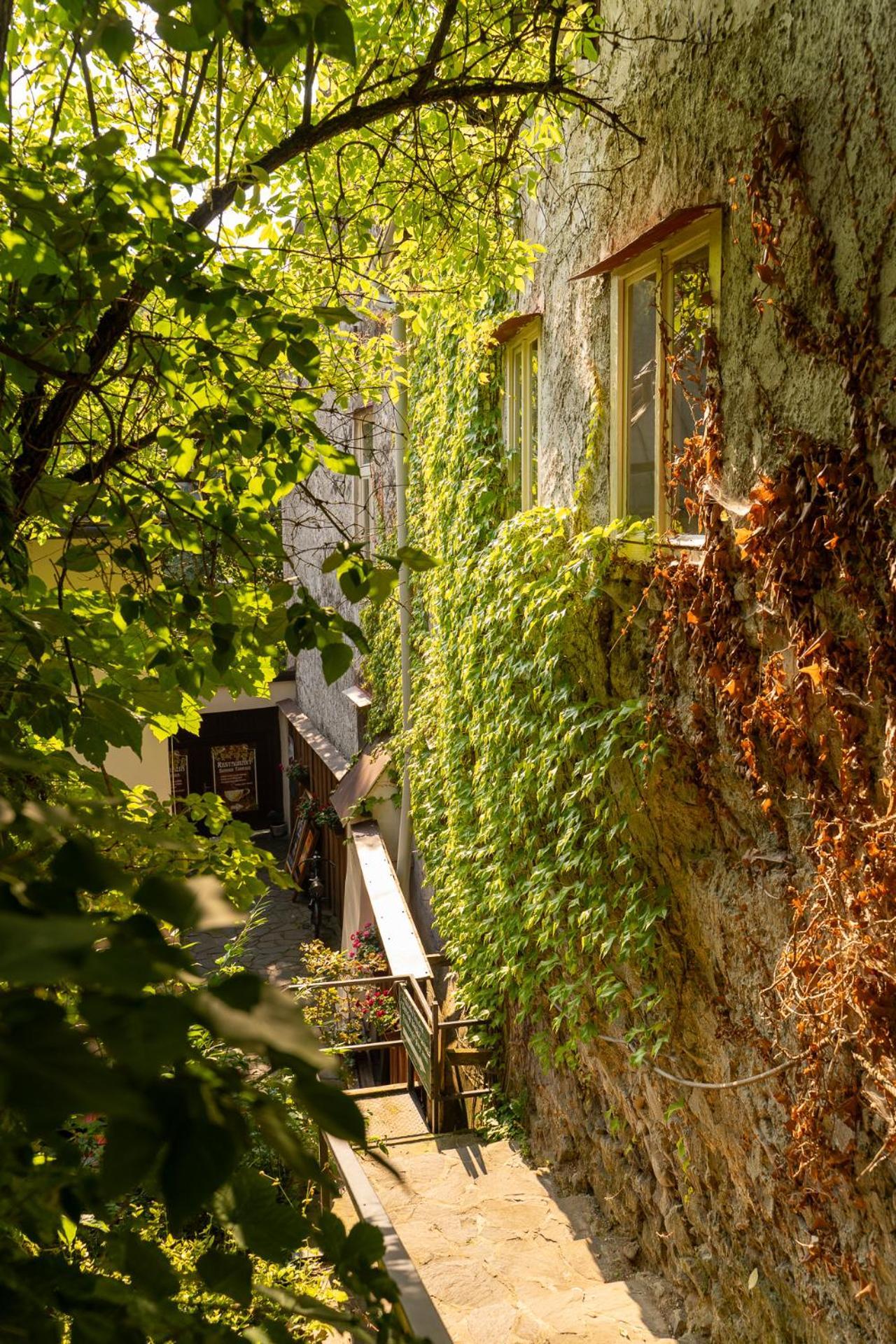 Penzión Príjemný Oddych Banska Stiavnica Exterior foto