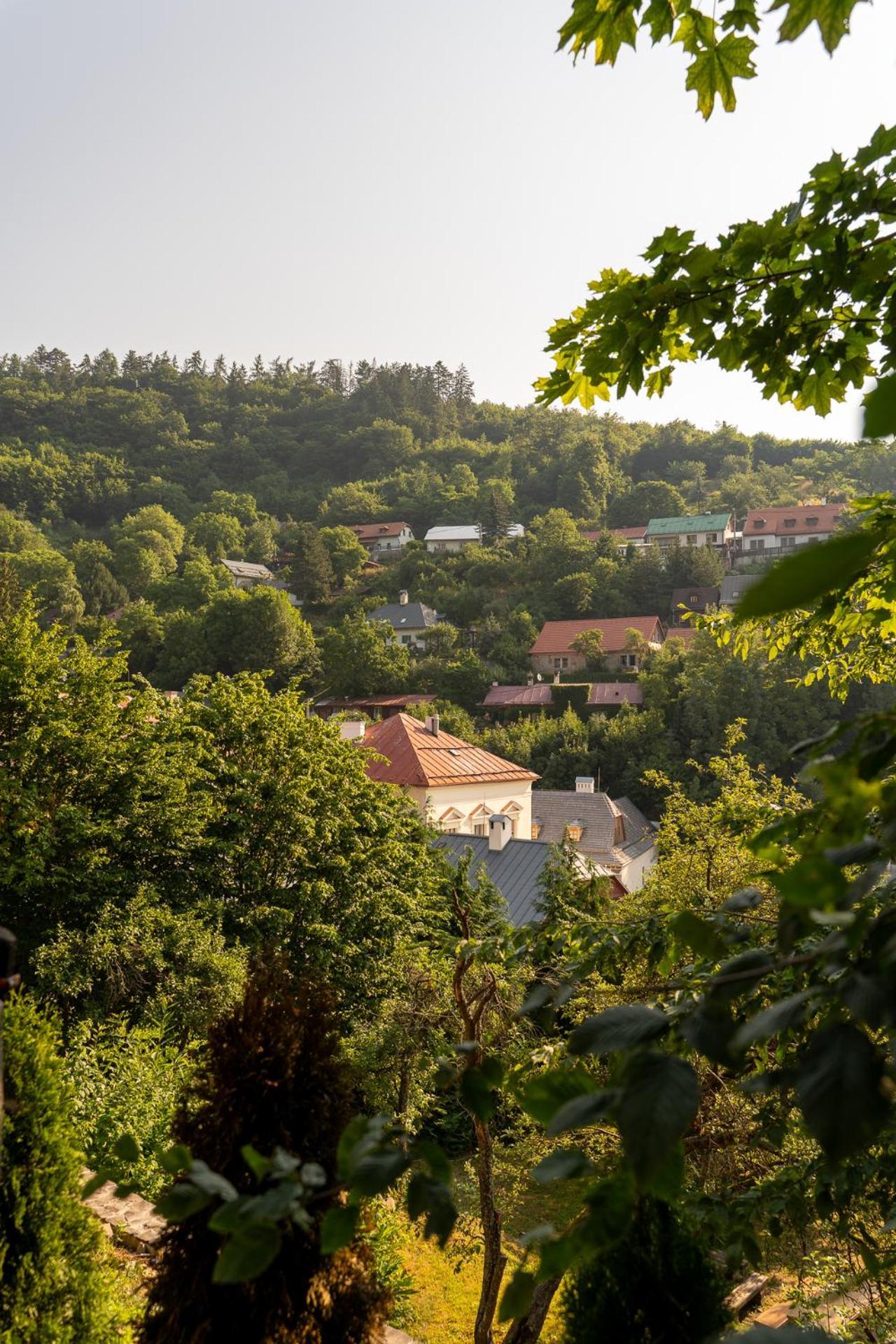 Penzión Príjemný Oddych Banska Stiavnica Exterior foto
